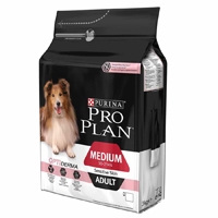 Köpek Kuru Mama