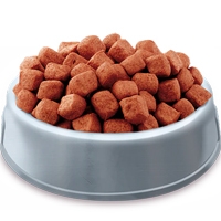 Köpek Maması